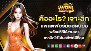 wonwin